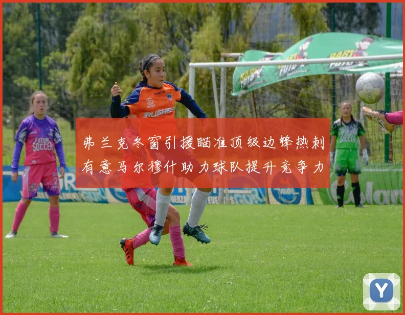 弗兰克冬窗引援瞄准顶级边锋热刺有意马尔穆什助力球队提升竞争力