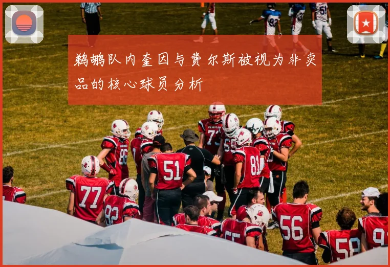 鹈鹕队内奎因与费尔斯被视为非卖品的核心球员分析