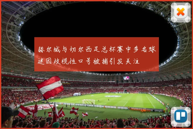 赫尔城与切尔西足总杯赛中多名球迷因歧视性口号被捕引发关注