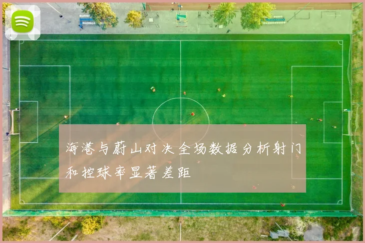 海港与蔚山对决全场数据分析射门和控球率显著差距