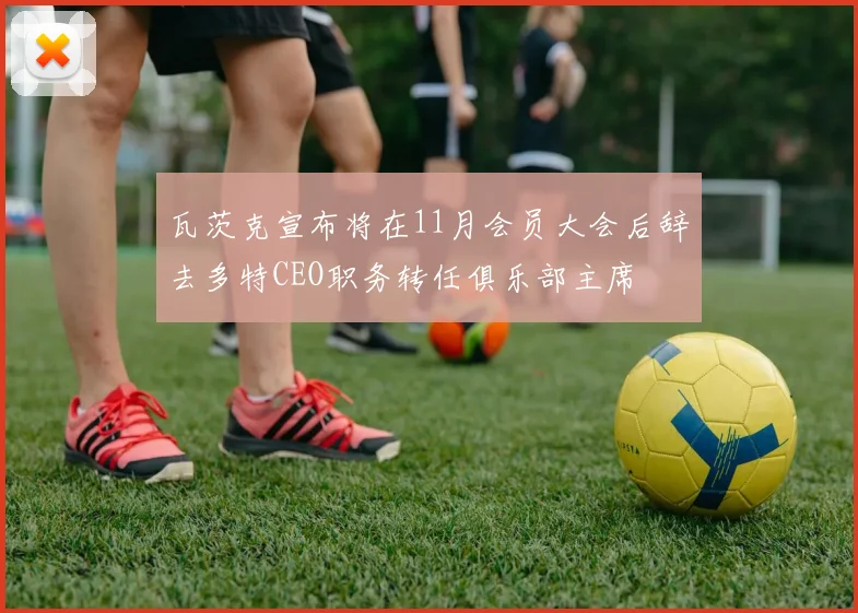 瓦茨克宣布将在11月会员大会后辞去多特CEO职务转任俱乐部主席