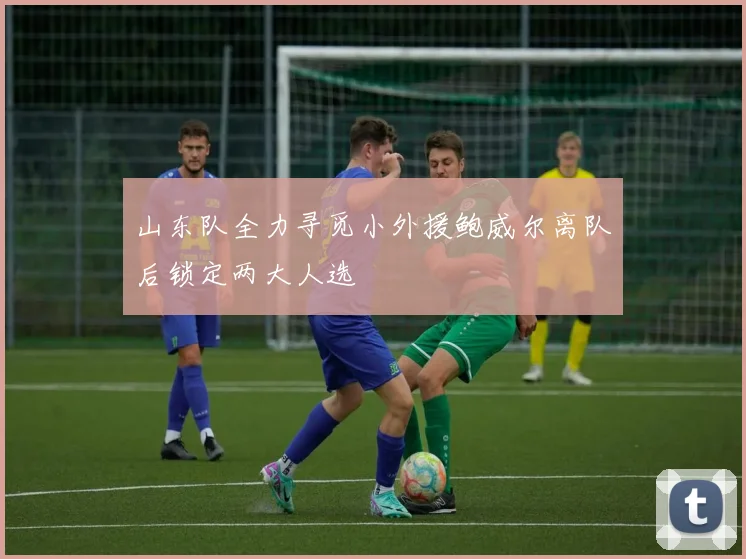 山东队全力寻觅小外援鲍威尔离队后锁定两大人选