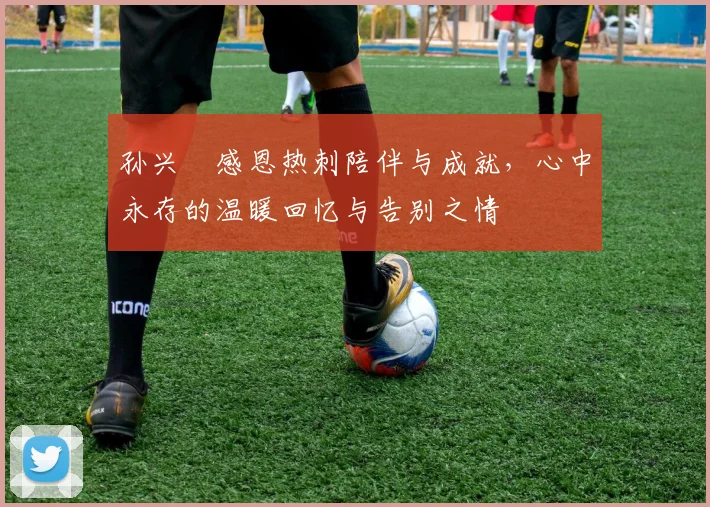 孙兴慜感恩热刺陪伴与成就，心中永存的温暖回忆与告别之情