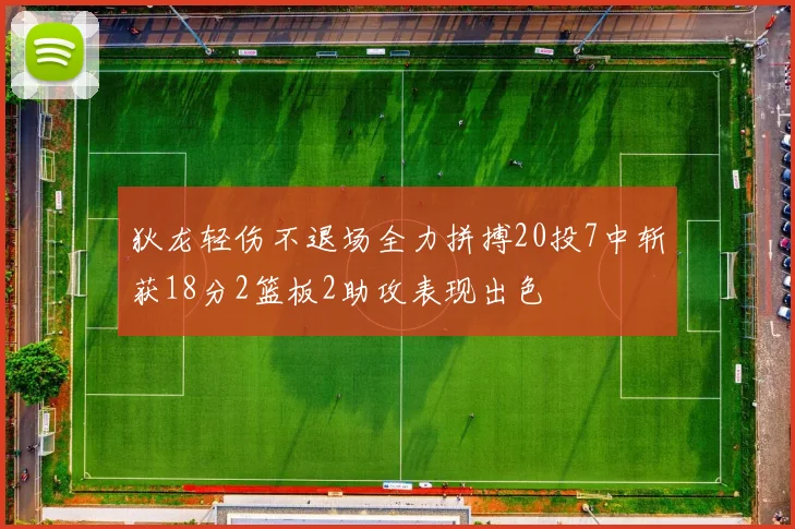 狄龙轻伤不退场全力拼搏20投7中斩获18分2篮板2助攻表现出色