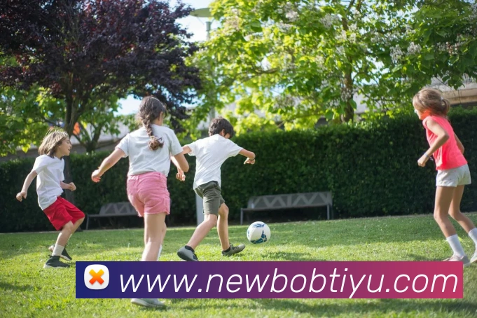 BOB体育平台生态图