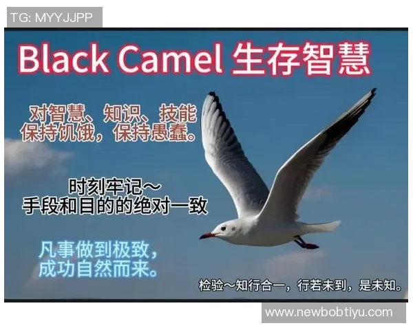 小卡的成长哲学：在强者的挑战中锻炼自我提升的智慧与勇气